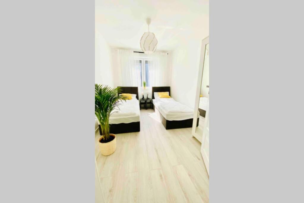 Apartment 53m2 Delux 6 *